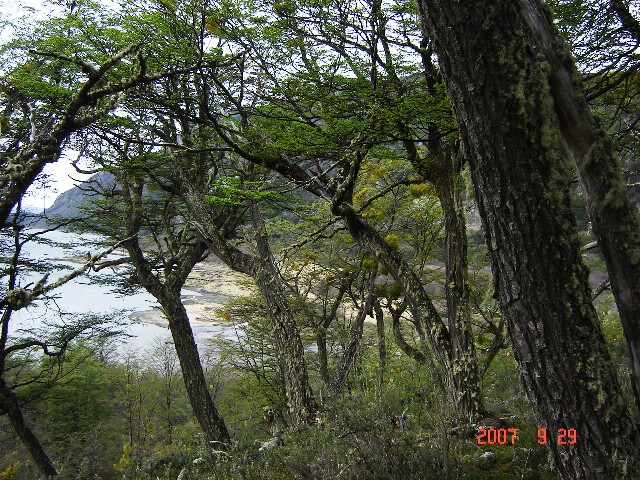 Foto de Ushuaia, Tierra del Fuego, Argentina