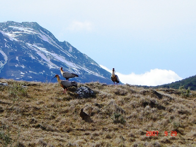 Foto de Ushuaia, Tierra del Fuego, Argentina