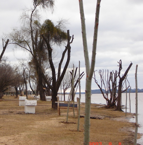 Foto de Colón, Entre Ríos, Argentina