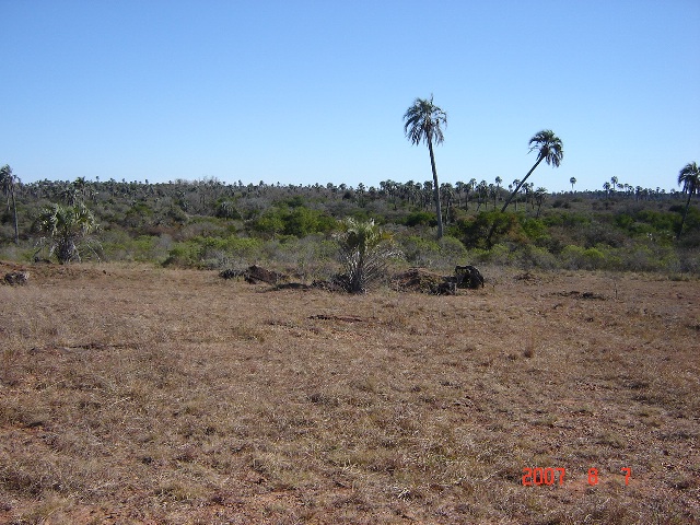 Foto de Colón, Entre Ríos, Argentina