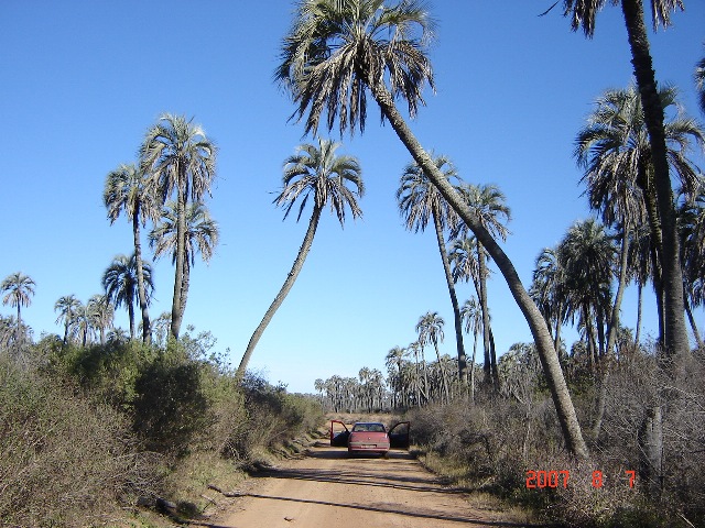 Foto de Colón, Entre Ríos, Argentina