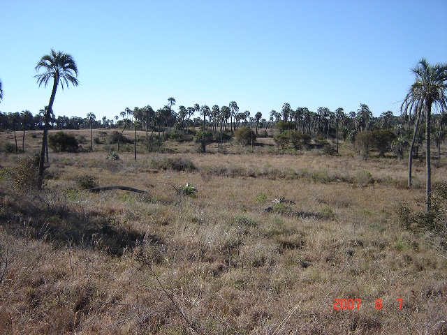 Foto de Colón, Entre Ríos, Argentina