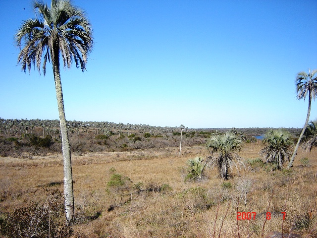 Foto de Colón, Entre Ríos, Argentina