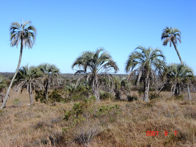 Foto de Colón, Entre Ríos, Argentina