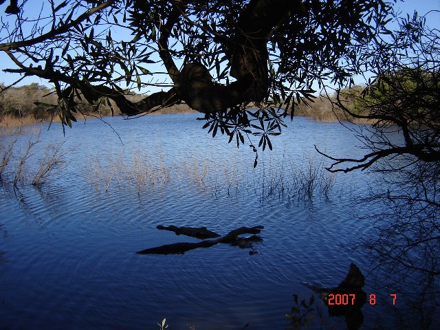 Foto de Colón, Entre Ríos, Argentina