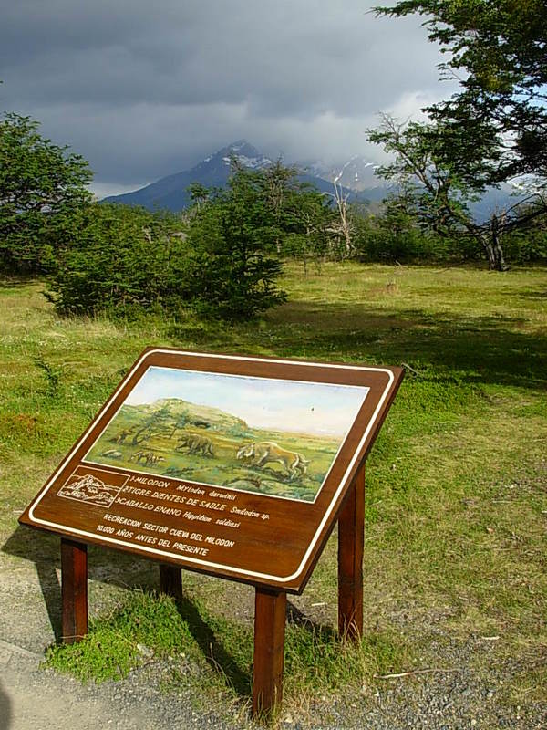 Foto de Puerto Natales, Chile