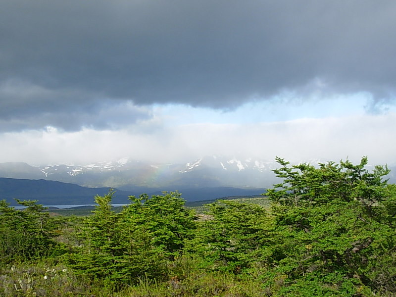 Foto de Puerto Natales, Chile