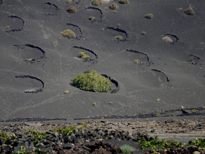 Foto de Lanzarote (Las Palmas), España