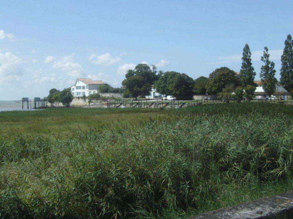 Foto de Talmont sur Gironde, Francia