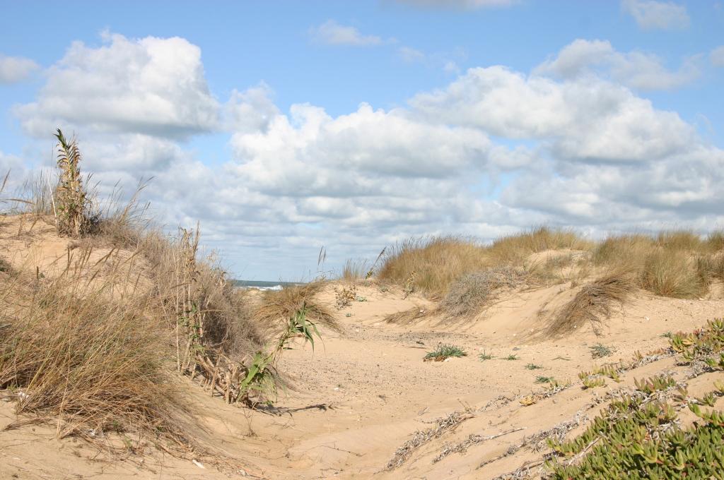 Foto de Cádiz (Andalucía), España