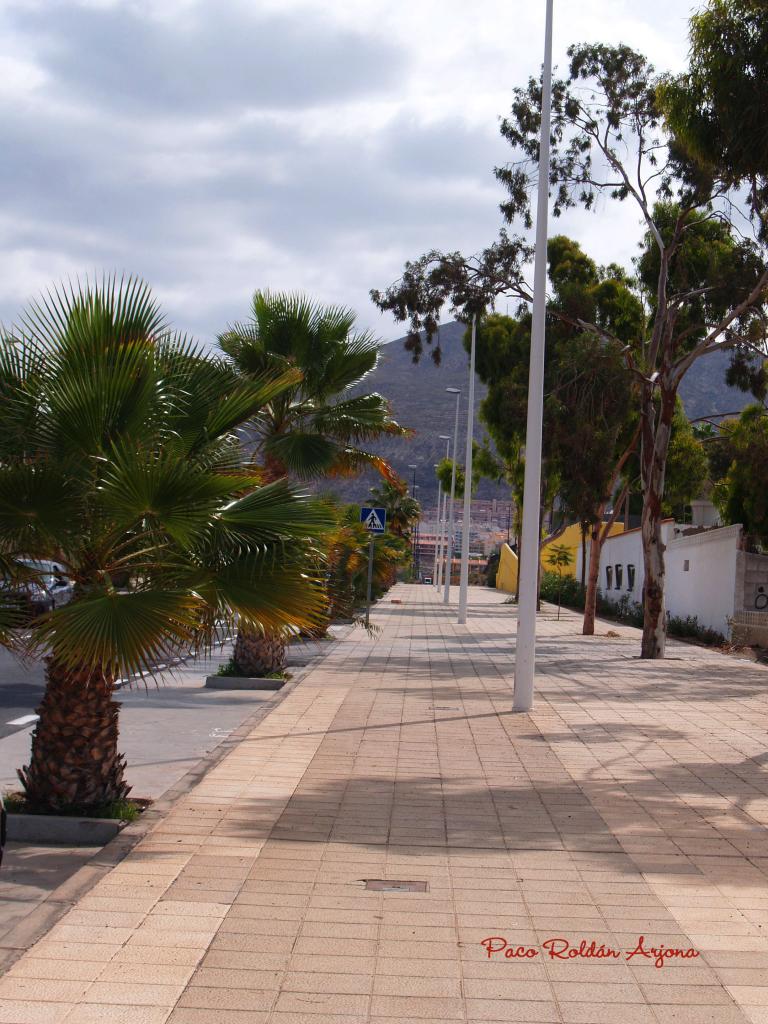 Foto de Los cristianos (Arona) (Santa Cruz de Tenerife), España