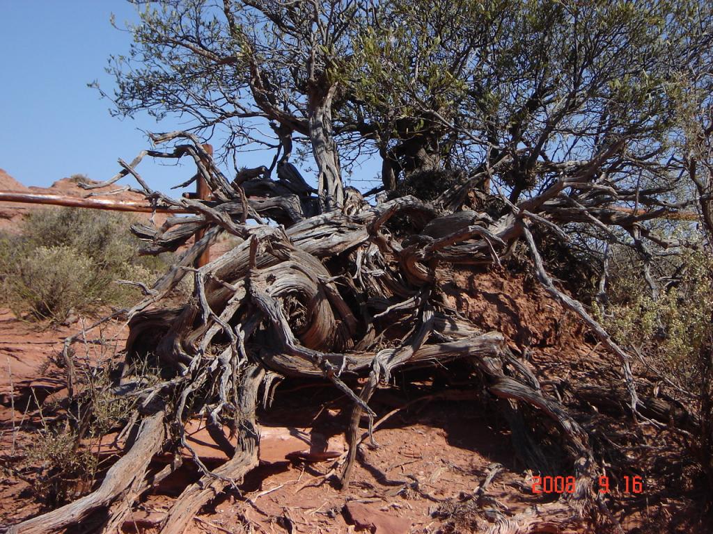 Foto de Hualtarán (San Luis), Argentina