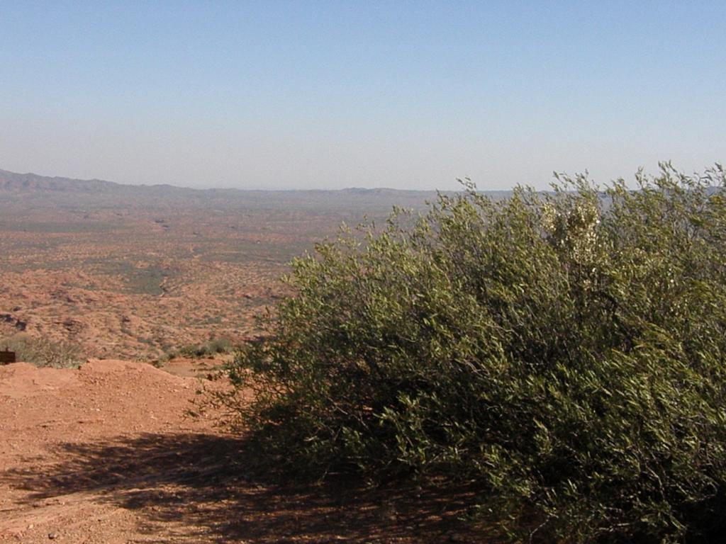 Foto de Hualtarán (San Luis), Argentina