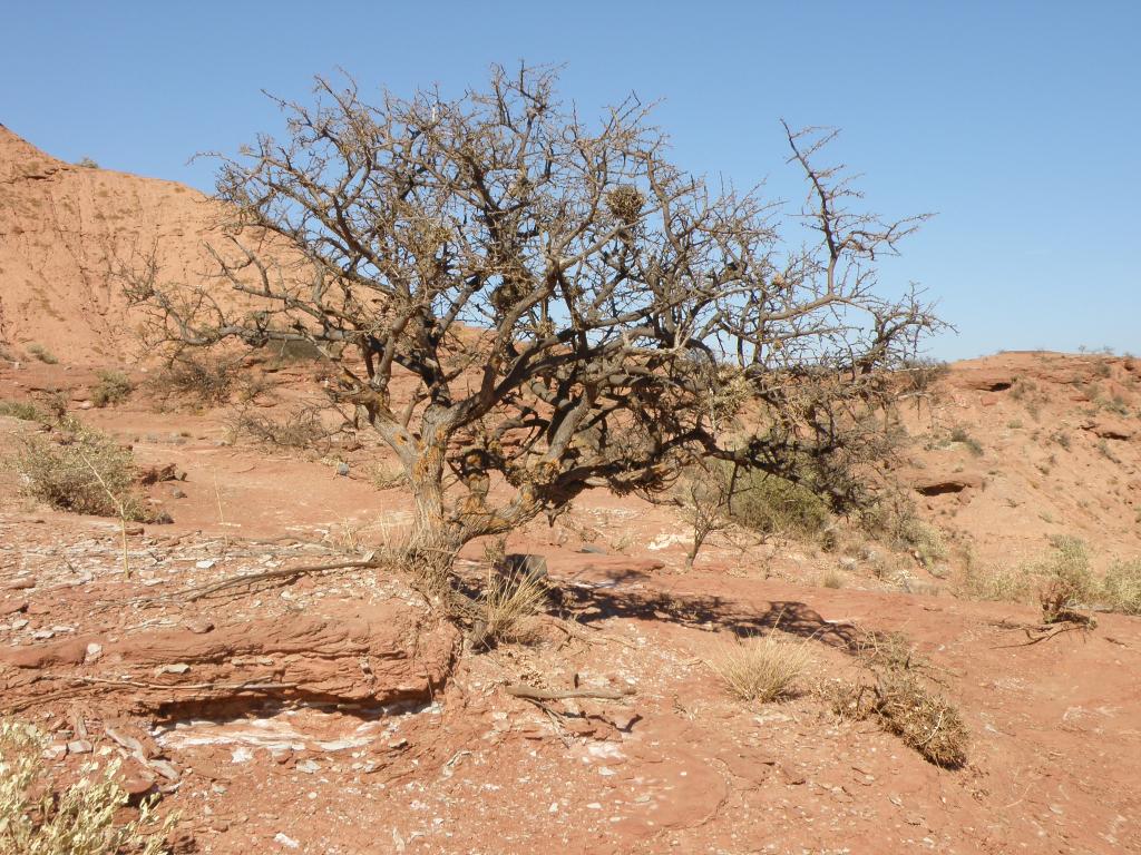 Foto de Hualtarán (San Luis), Argentina