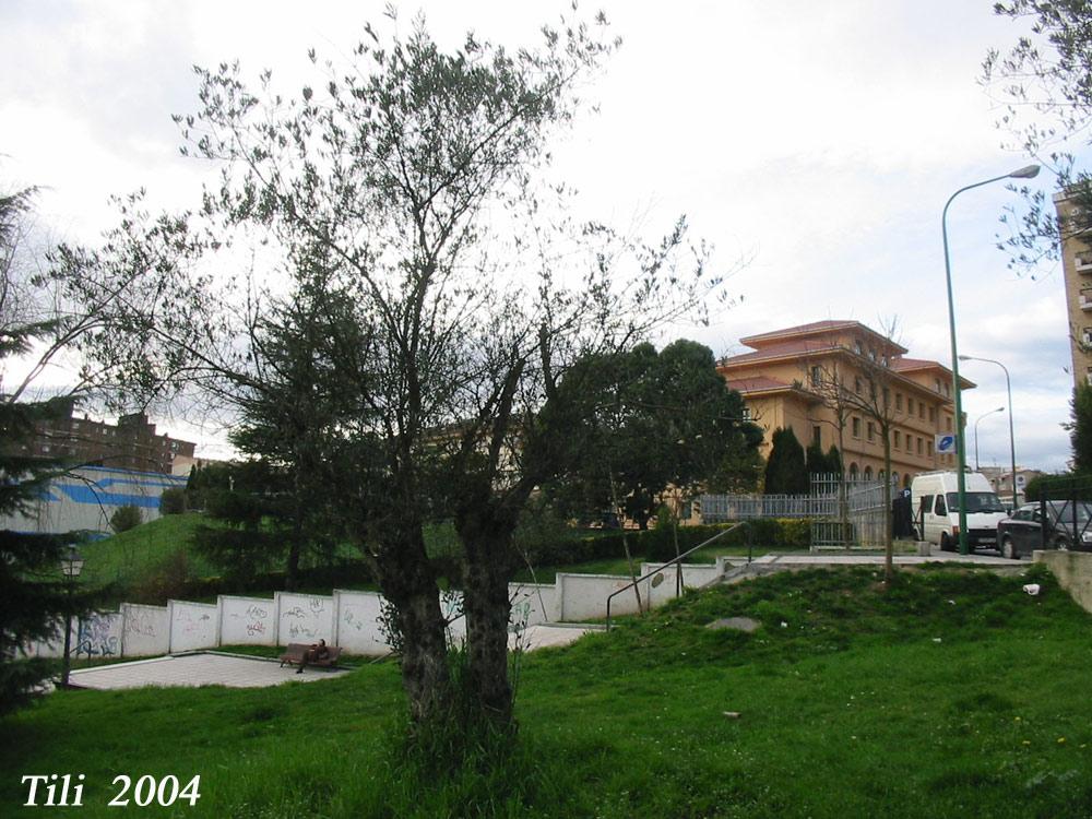 Foto de Oviedo (Asturias), España