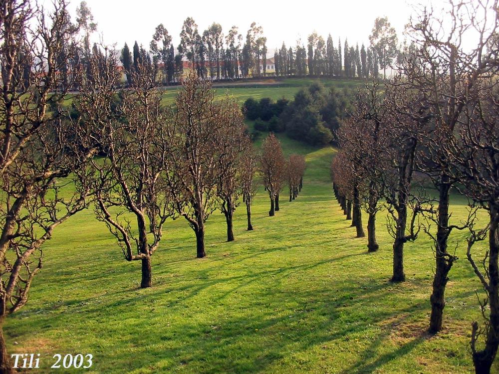 Foto de Oviedo (Asturias), España