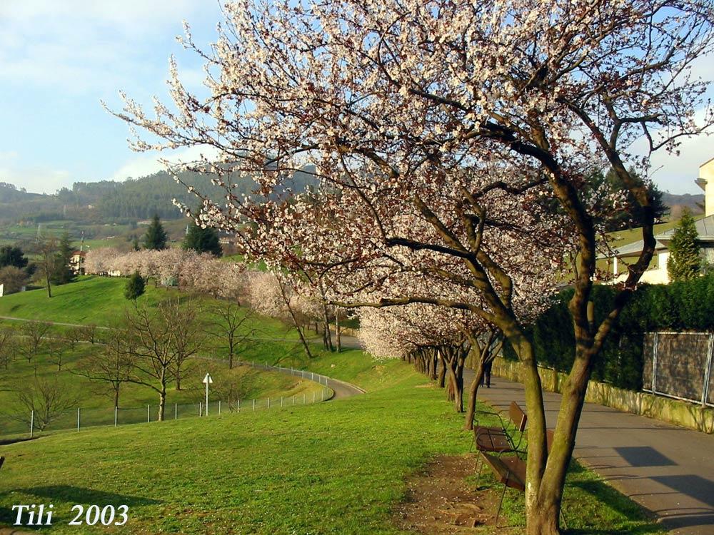 Foto de Oviedo (Asturias), España