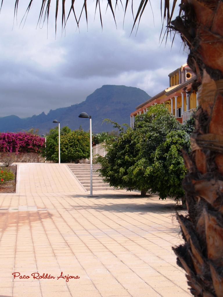 Foto de Los cristianos (Arona) (Santa Cruz de Tenerife), España