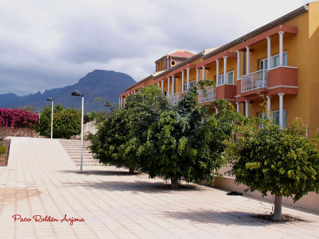 Foto de Los cristianos (Arona) (Santa Cruz de Tenerife), España