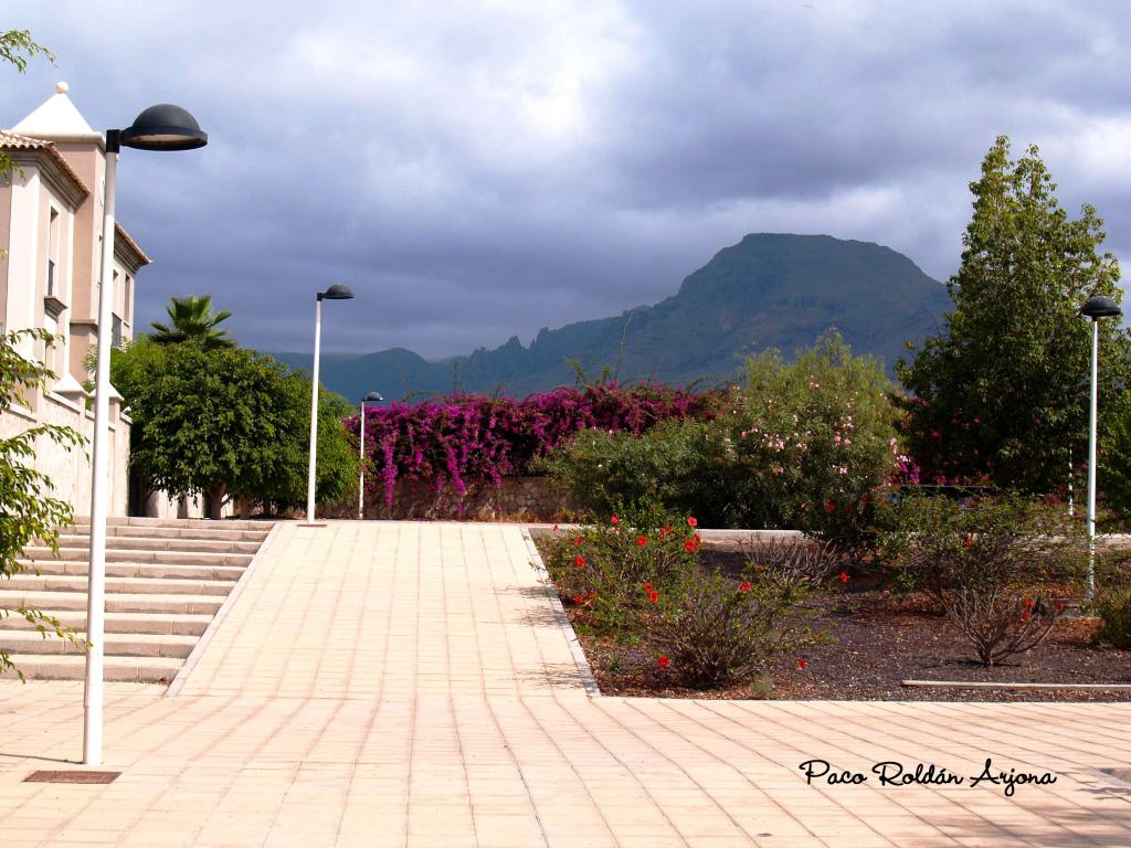 Foto de Los cristianos (Arona) (Santa Cruz de Tenerife), España