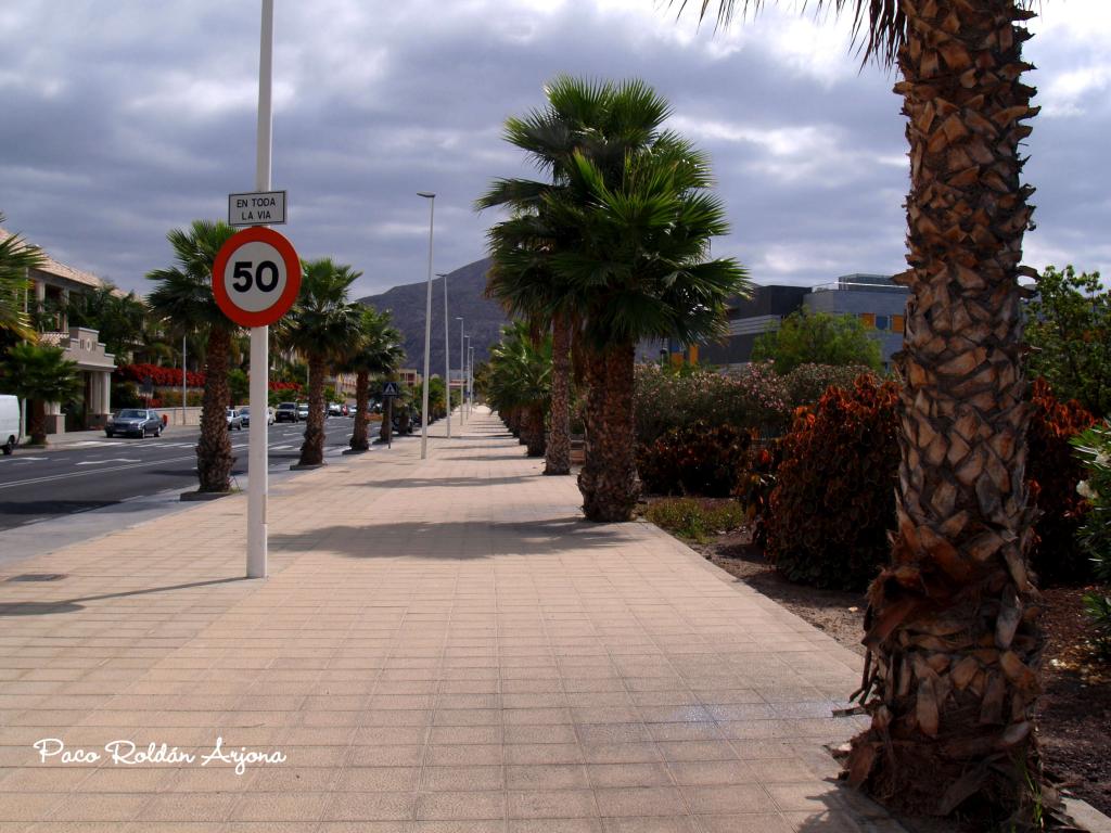 Foto de Los cristianos (Arona) (Santa Cruz de Tenerife), España