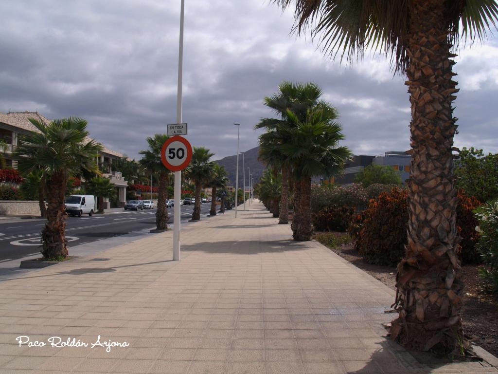 Foto de Los cristianos (Arona) (Santa Cruz de Tenerife), España