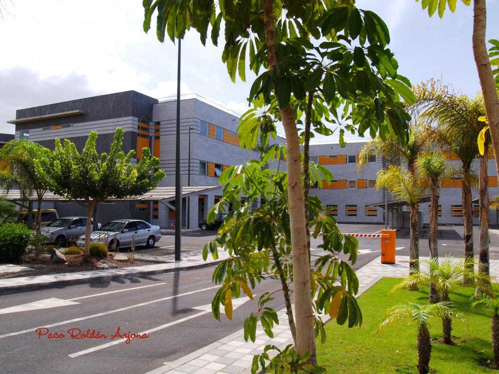 Foto de Los cristianos (Arona) (Santa Cruz de Tenerife), España