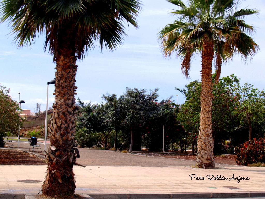 Foto de Los cristianos (Arona) (Santa Cruz de Tenerife), España