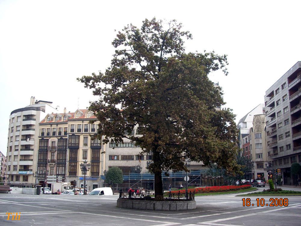 Foto de Oviedo (Asturias), España