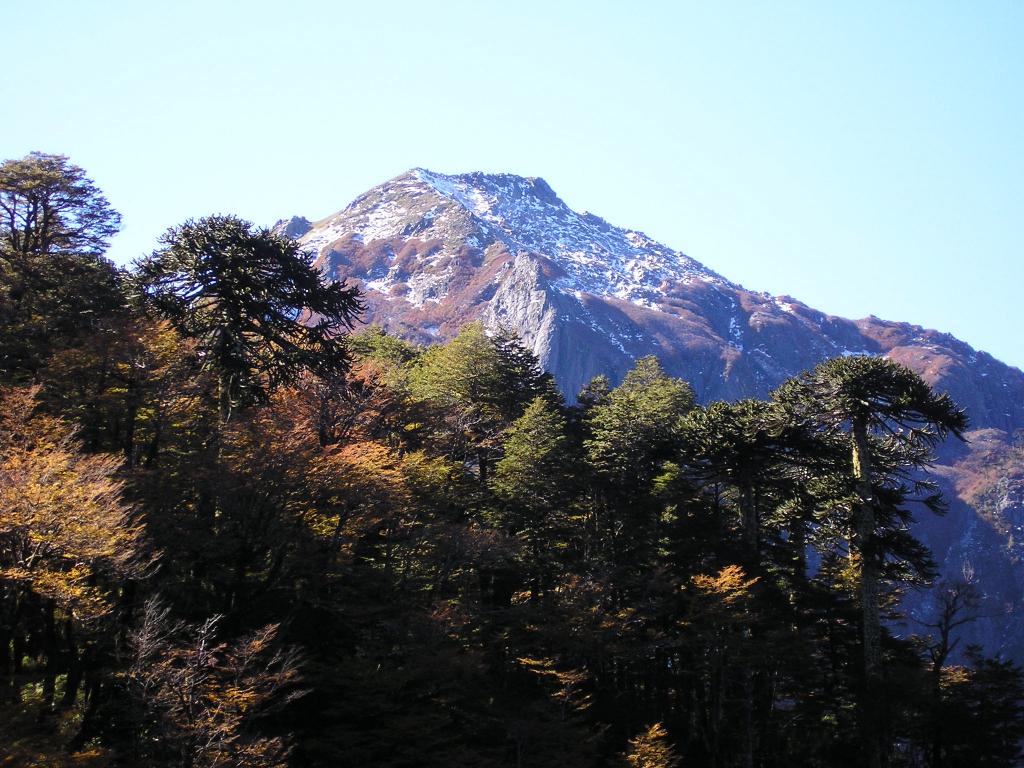 Foto de Villarica, Chile