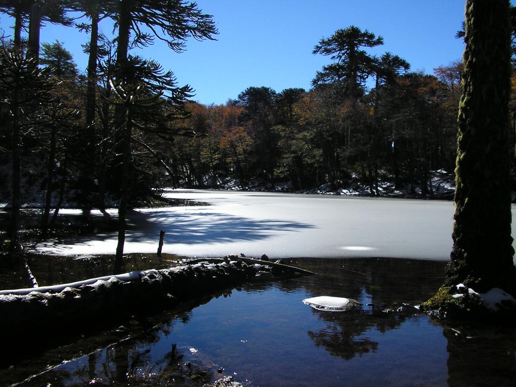 Foto de Villarica, Chile