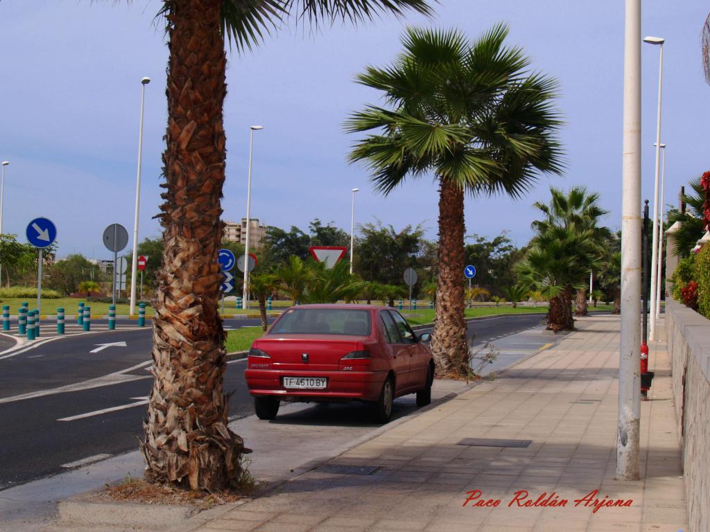 Foto de Los cristianos (Arona) (Santa Cruz de Tenerife), España