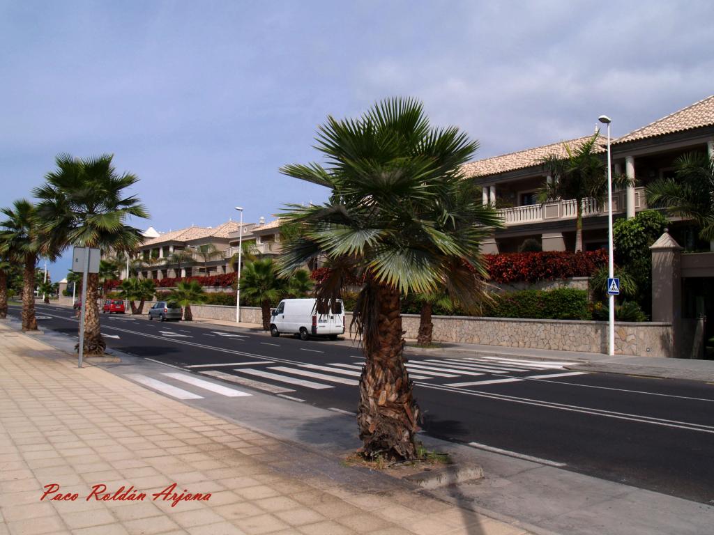 Foto de Los cristianos (Arona) (Santa Cruz de Tenerife), España