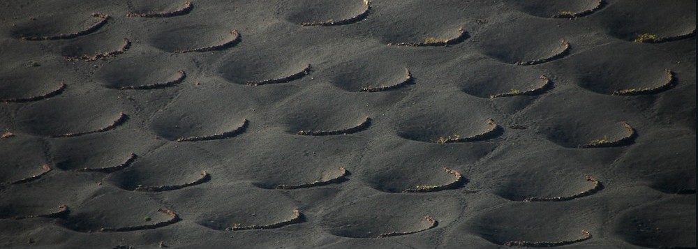 Foto de Lanzarote (Las Palmas), España