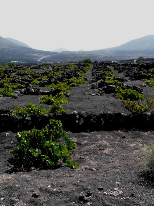 Foto de Lanzarote (Las Palmas), España