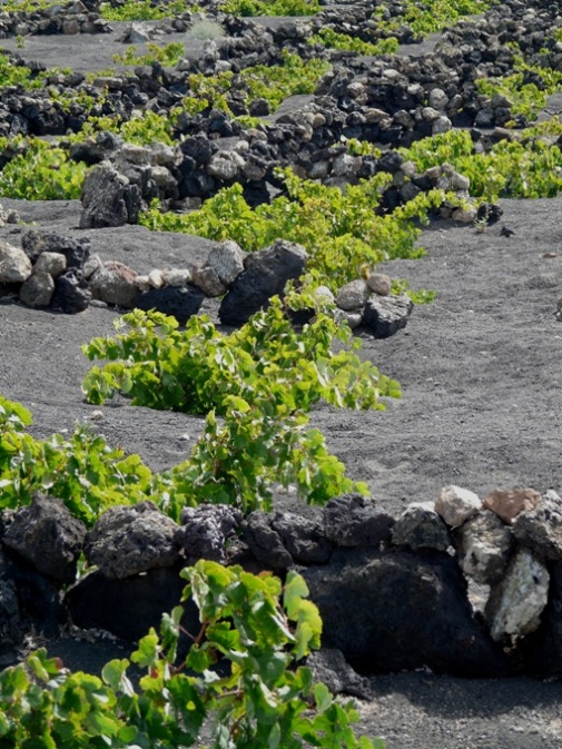 Foto de Lanzarote (Las Palmas), España