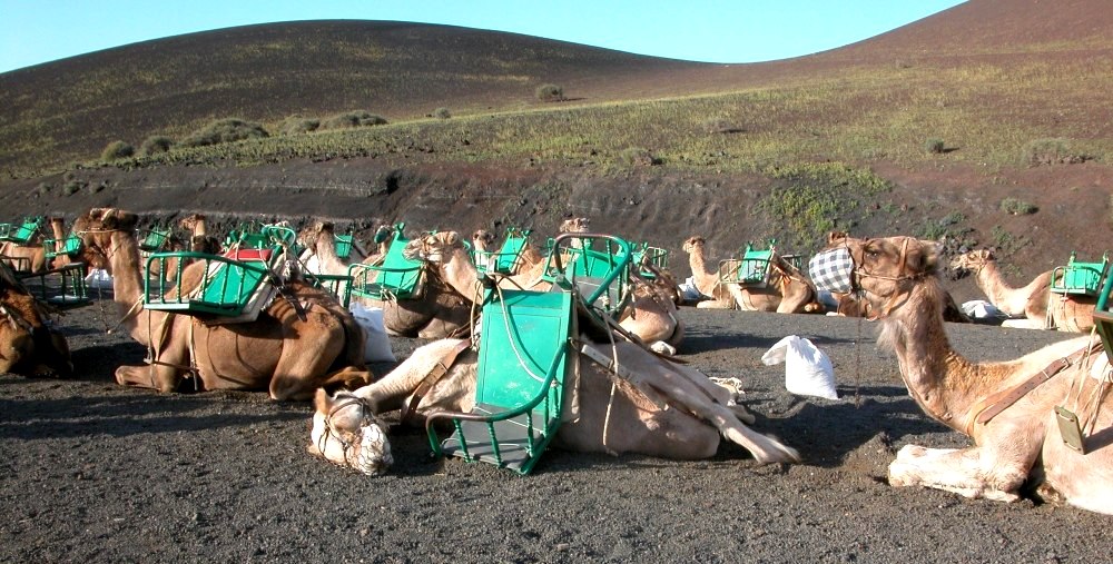 Foto de Lanzarote (Las Palmas), España