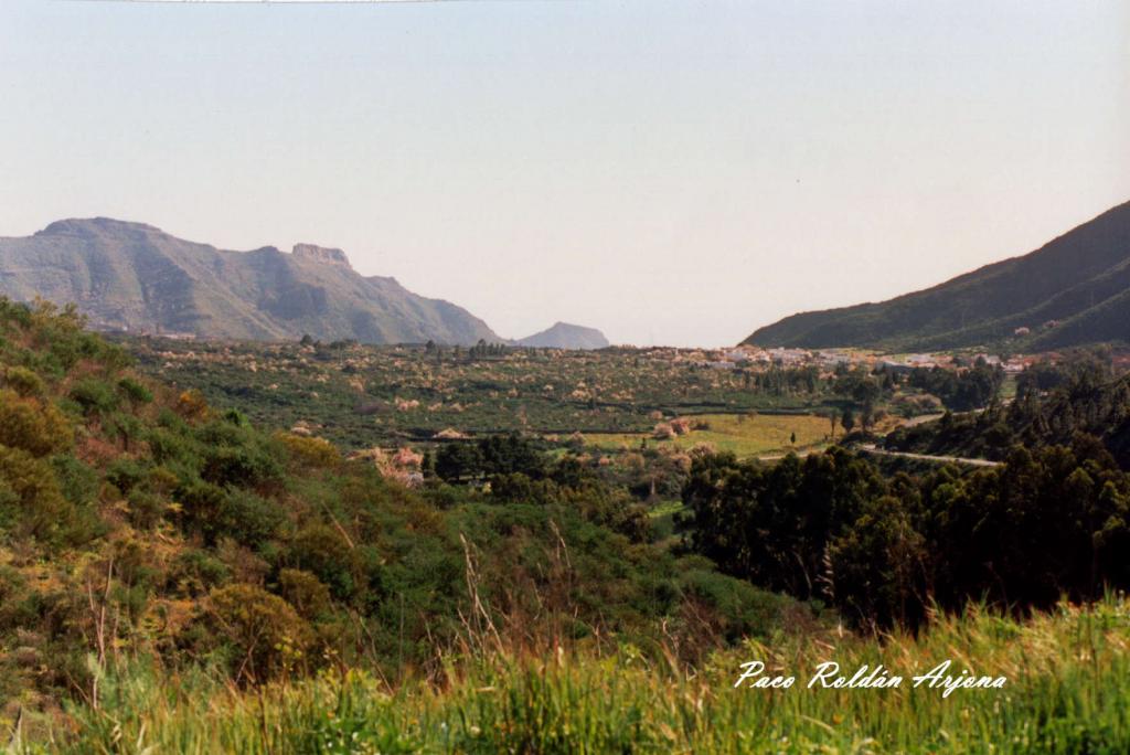 Foto de La Vega (Santa Cruz de Tenerife), España