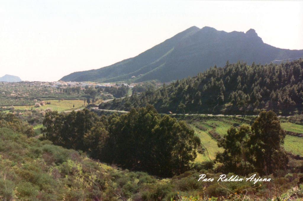 Foto de La Vega (Santa Cruz de Tenerife), España