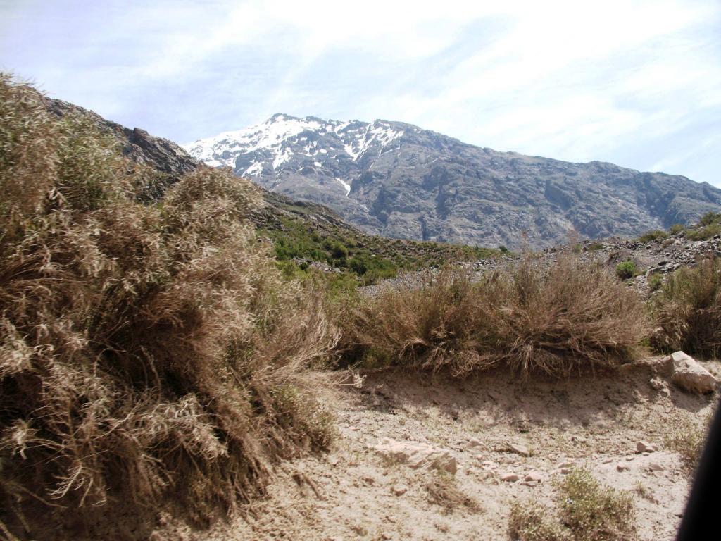 Foto de Cajon de Maipo, Chile