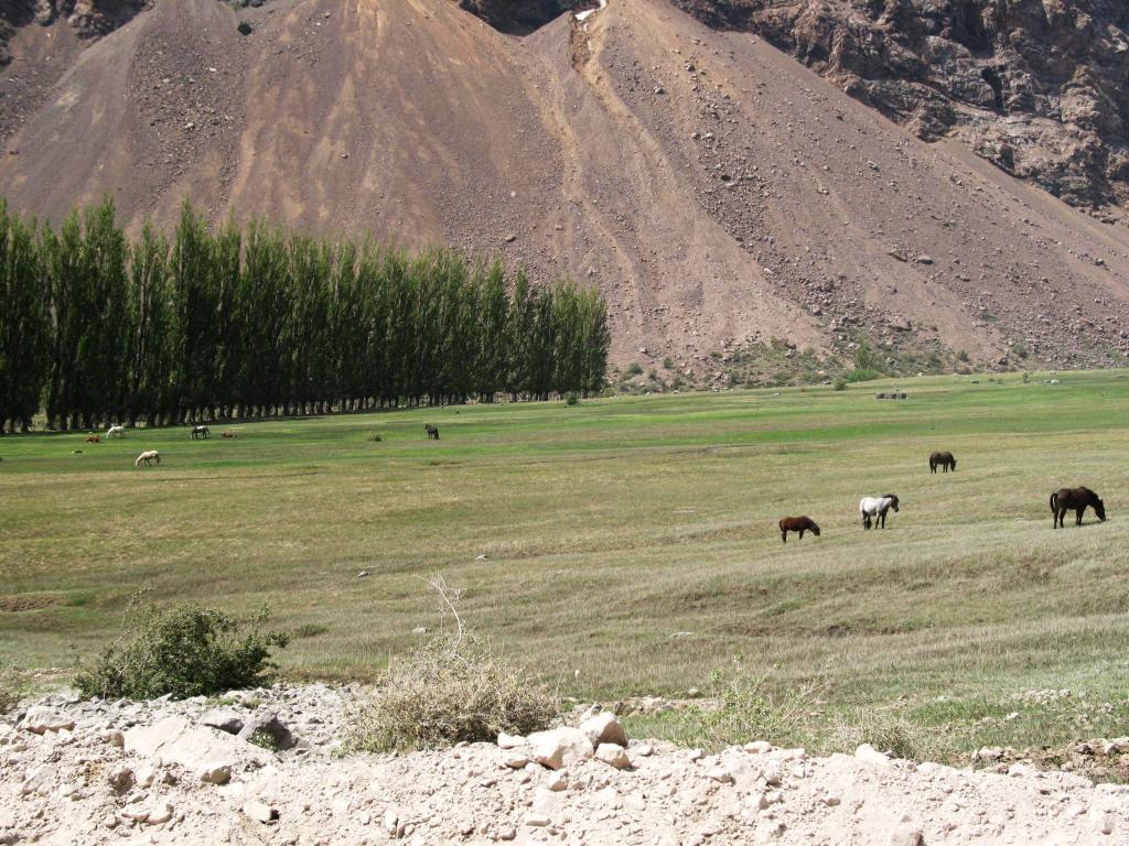 Foto de Cajon de Maipo, Chile