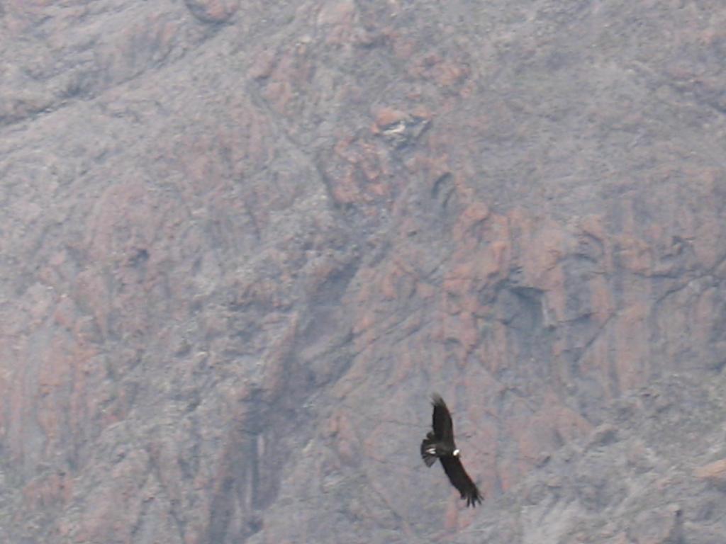 Foto de Cajon de Maipo, Chile