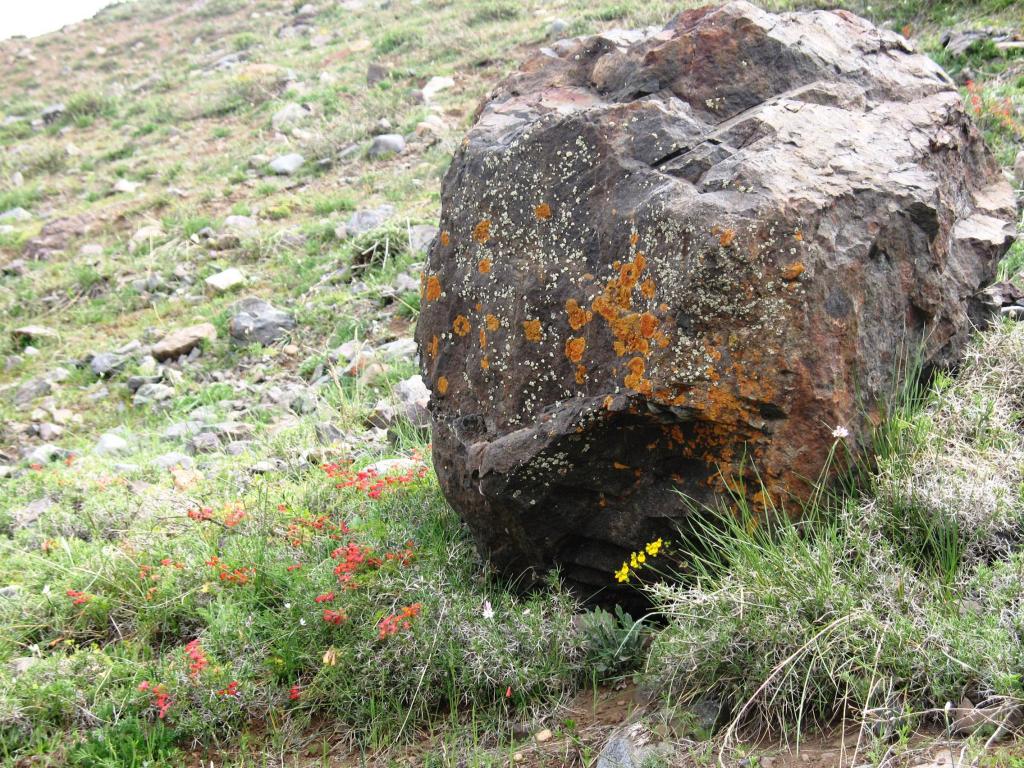 Foto de Cajon de Maipo, Chile