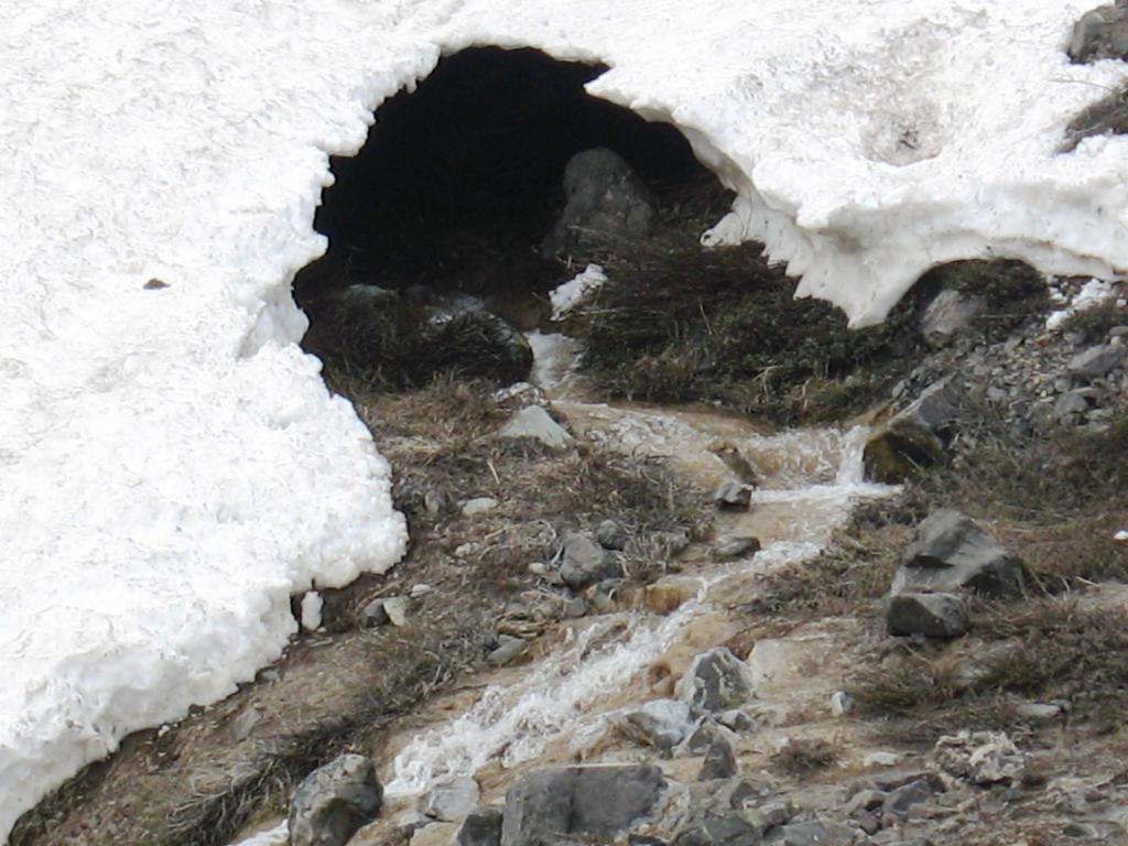 Foto de Cajon de Maipo, Chile