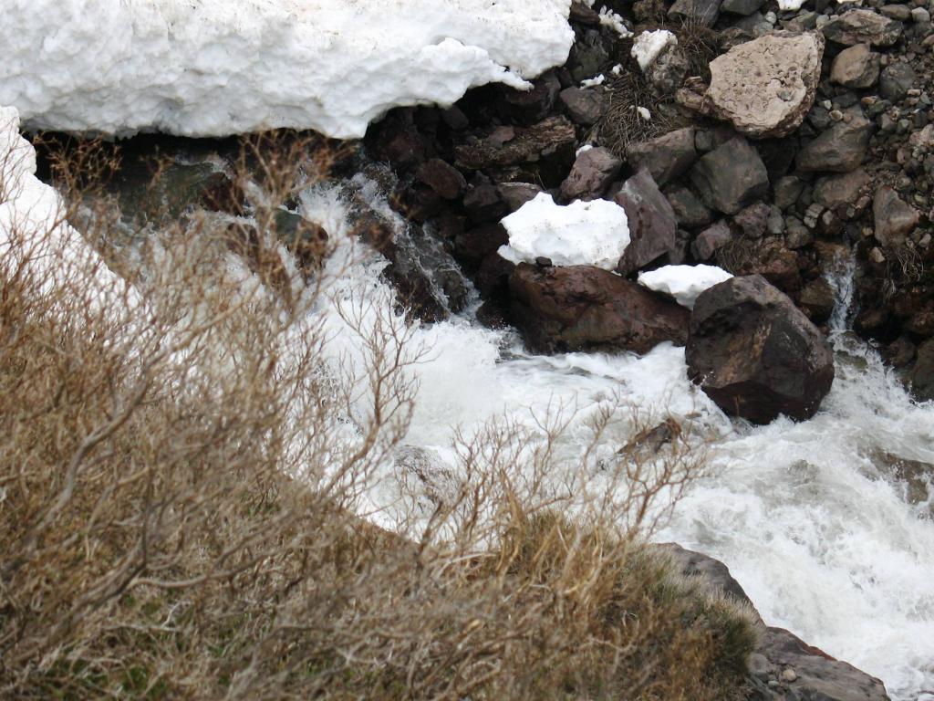 Foto de Cajon de Maipo, Chile