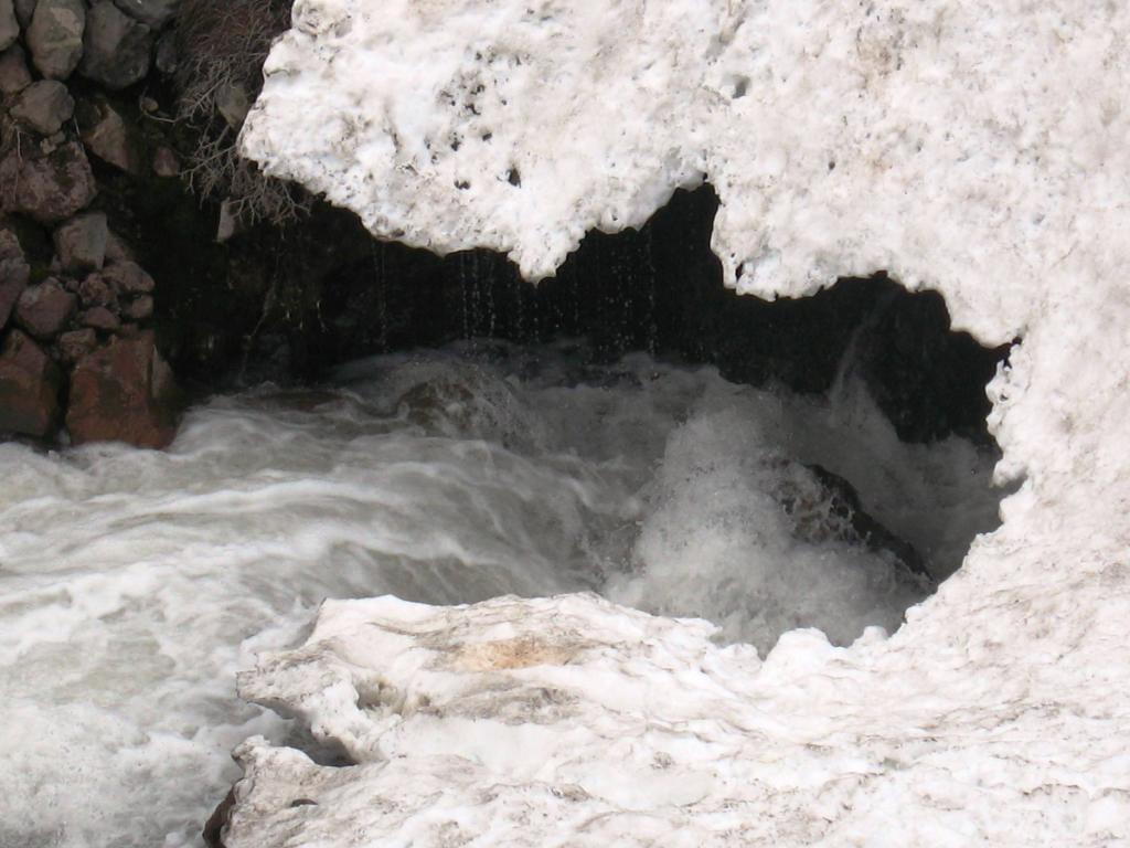 Foto de Cajon de Maipo, Chile