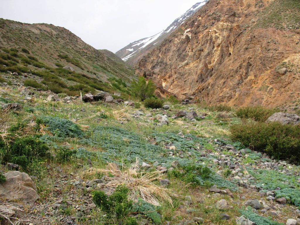 Foto de Cajon de Maipo, Chile