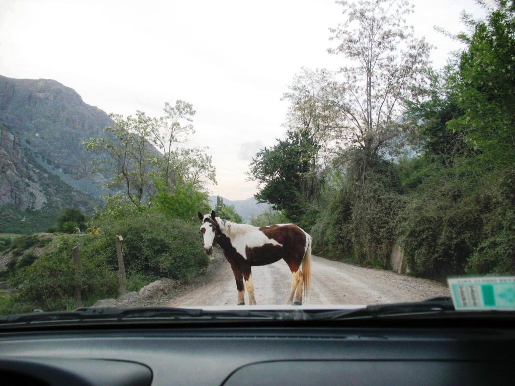 Foto de Cajon de Maipo, Chile