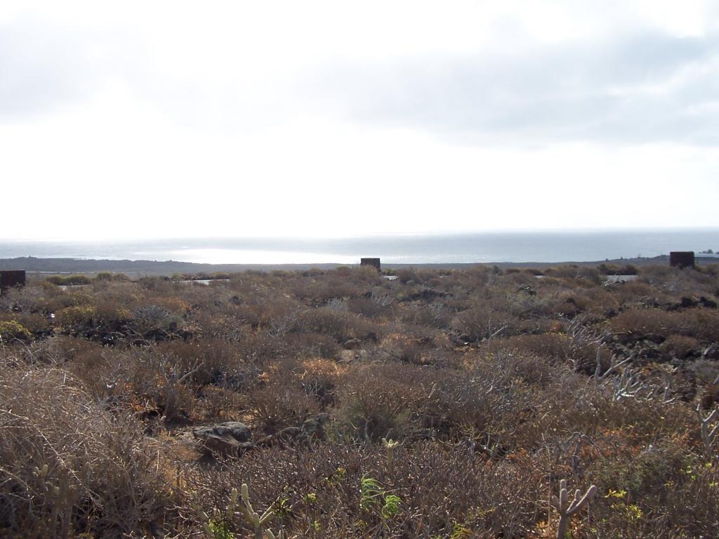 Foto de Lanzarote (Las Palmas), España