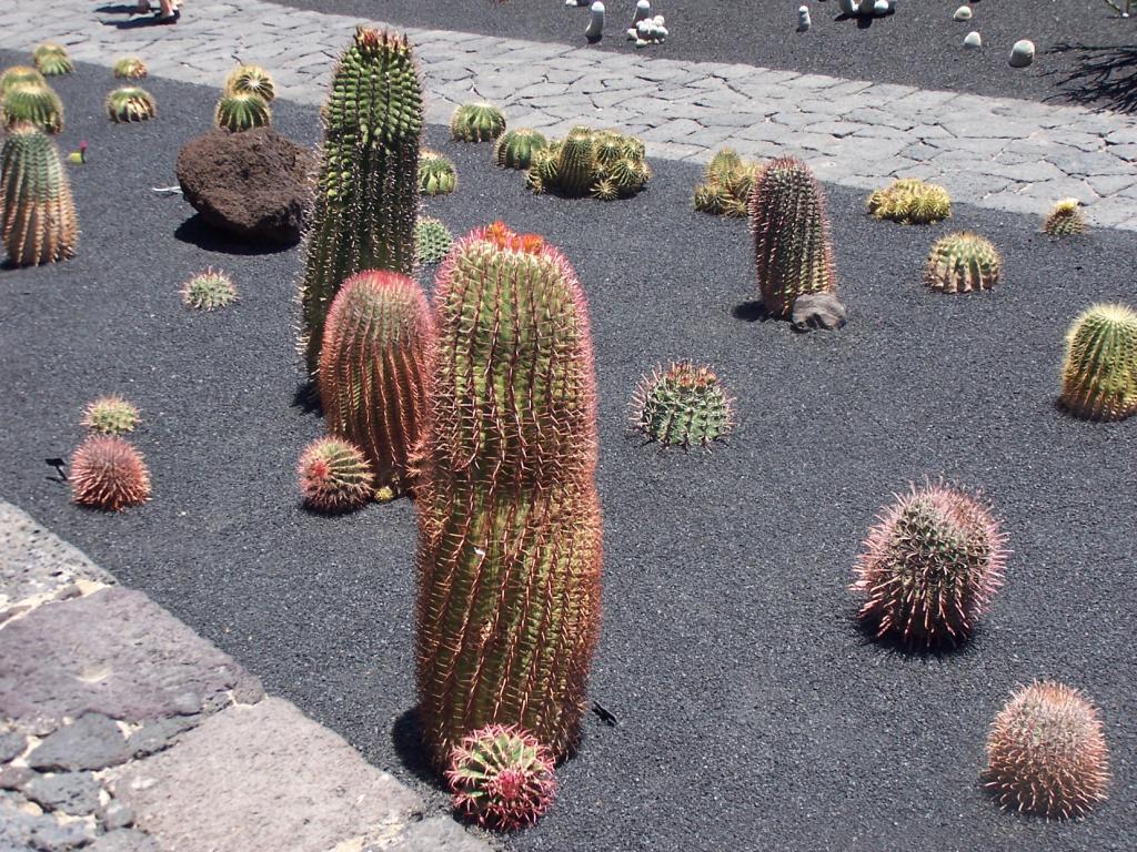 Foto de Lanzarote (Las Palmas), España